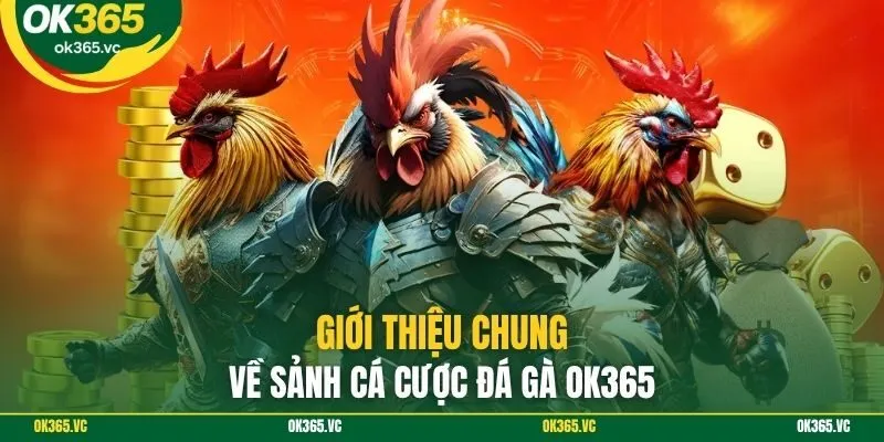 Giới thiệu chung về sảnh cá cược đá gà Ok365