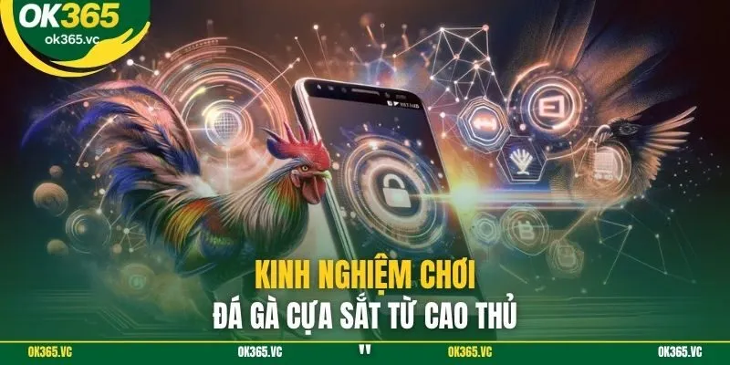 Kinh nghiệm chơi đá gà cựa sắt từ cao thủ