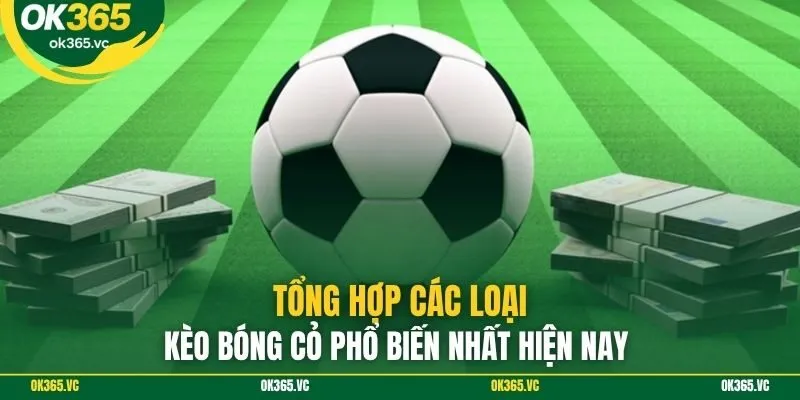 Tổng hợp các loại kèo bóng cỏ phổ biến nhất hiện nay 