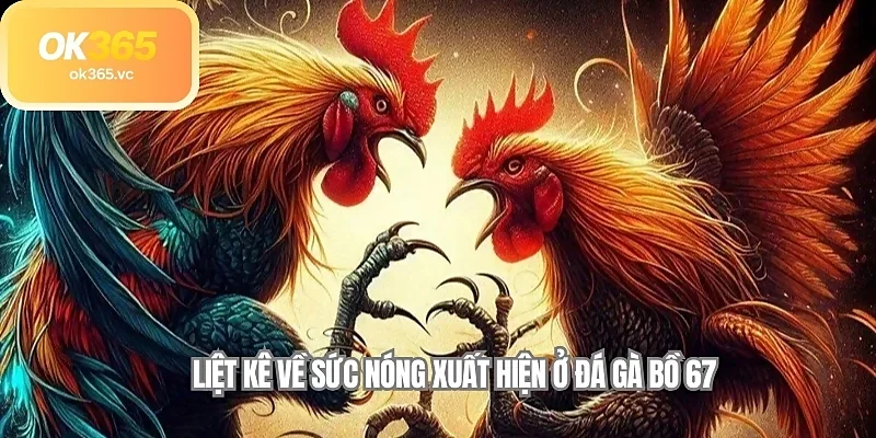 Liệt kê về sức nóng xuất hiện ở đá gà bồ 67