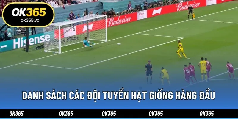 Danh sách các đội tuyển hạt giống hàng đầu
